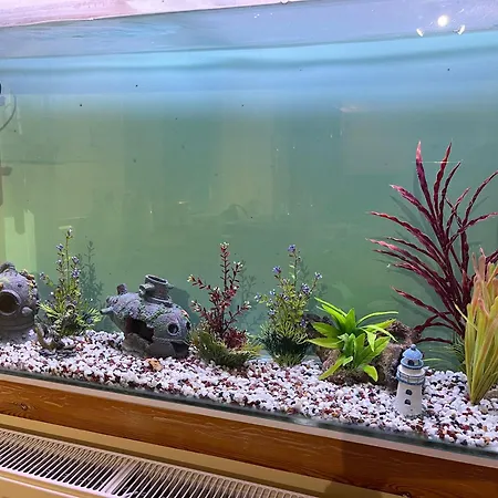 Hope Corner * 法利