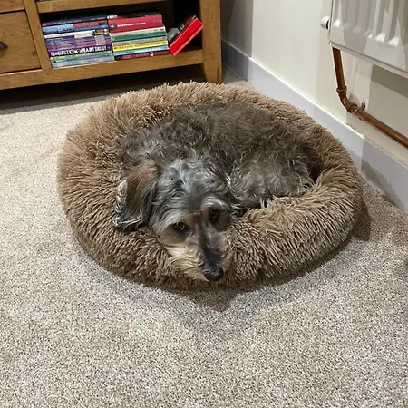 Hope Corner 公寓 *