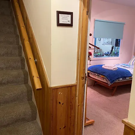 Hope Corner 公寓 法利